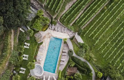 Huber unterm Baum - Foto 7