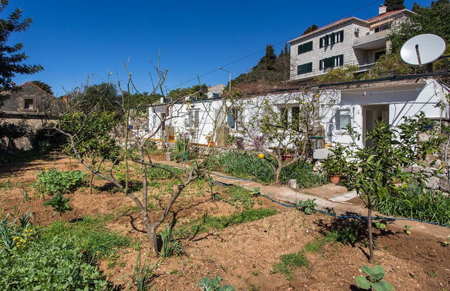 Apartments Ljubimir - Foto 35