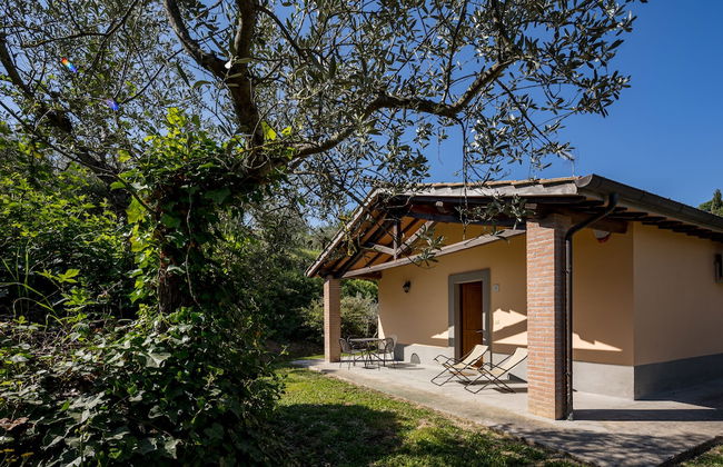 Agriturismo Poggio Degli Olivi - Guest House - Foto 44