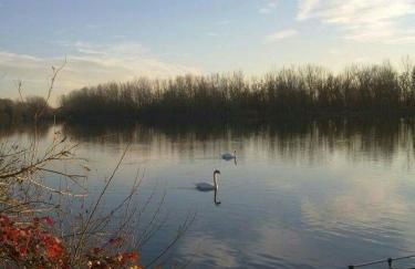 La Finestra sul Po - Agriturismo - Foto 67