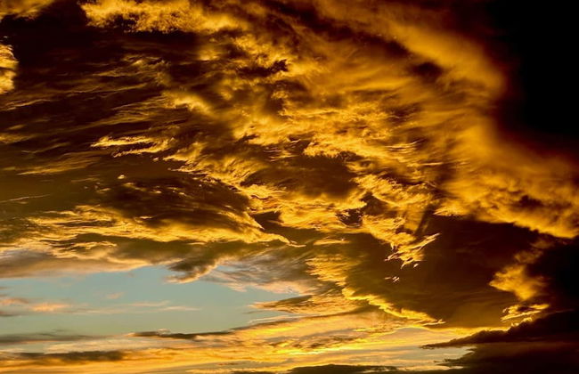 Amazing Historic 1800s Carriage House - Foto 28