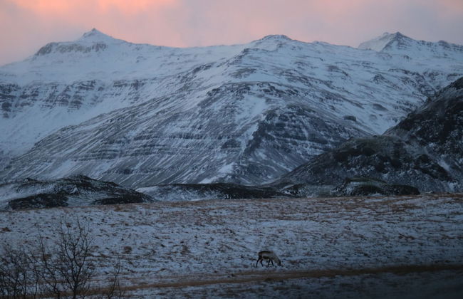 Starmyri 2a Cottages - Foto 20