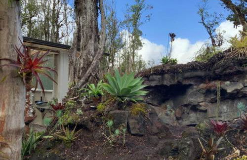 Exotic Garden cottage at amazing volcano fissure - Foto 74
