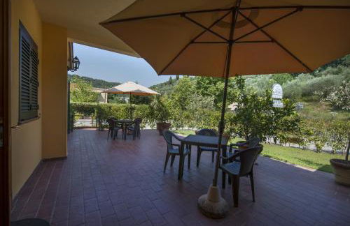 Cecco di Nara - Foto 20