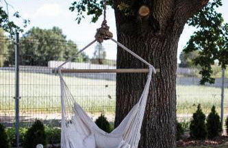 Agroturystyka Pod Dębem - Foto 16