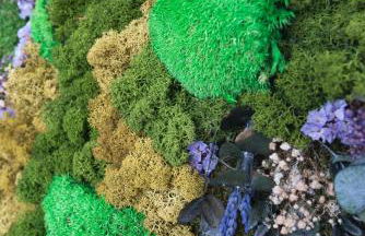 Home2Book El Perenquén 2, Las Palmas - Foto 13