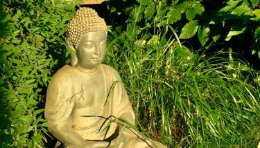 Ferienwohnung Trede - Foto 4, Garden view