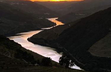 Pinhão House - Foto 46