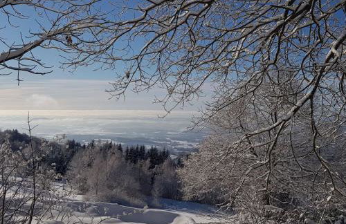 Apartment Charmante Wohnung in Langfurth mit Kleinem Balkon by Interhome - Foto 13
