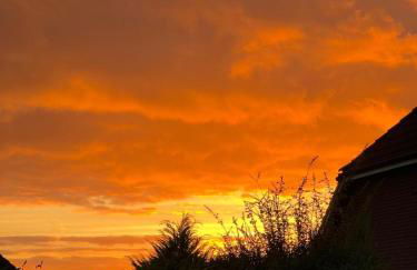 Ferienwohnung Ostseefeuer - Foto 59