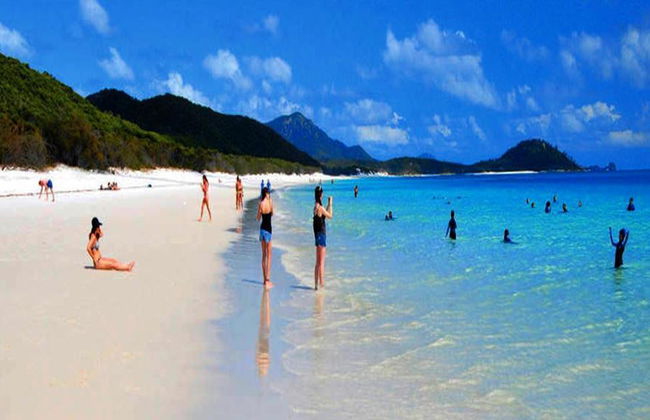 Whitsundays und Whitehaven Beach Cruise - Foto 5