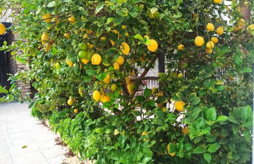 Azul del mar - Foto 71