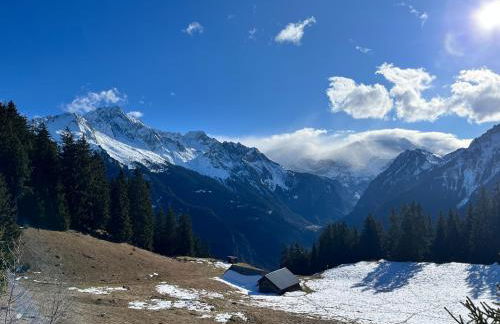 Chalet école des cimes - Foto 66