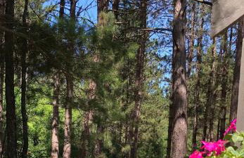 Woodsy and Private- Rustic Cabin - Foto 10