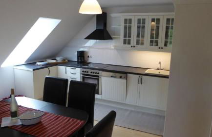 Gut-Rattelvitz-Galerie-D-hochwertig-Sauna-Kamin-eTankstelle-Spielscheune-15-000qm-Parkland - Photo 4