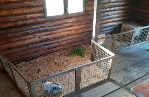 Hofstub´n - Foto 56