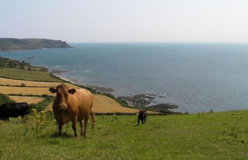 Foss Cottage coastal property with wonderful sea view - Foto 6