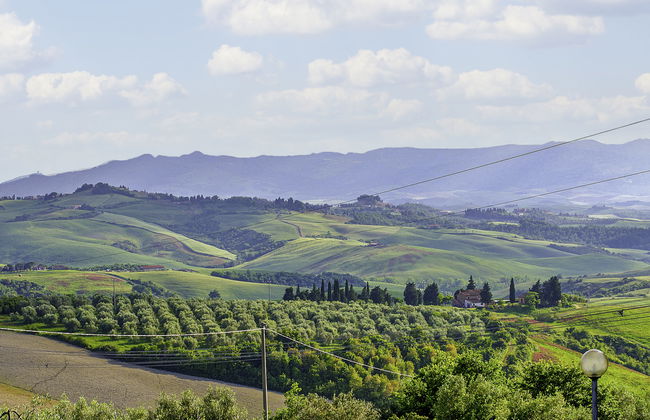 La Salamandra - Foto 7