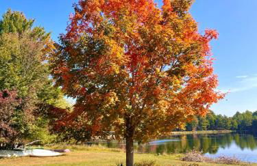 Huge Cabin, Whiteface, Hot Tub, Sauna & Game Room - Foto 9