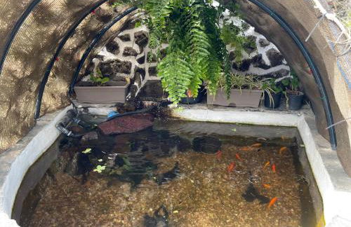 Vistamar La Caleta - Foto 26