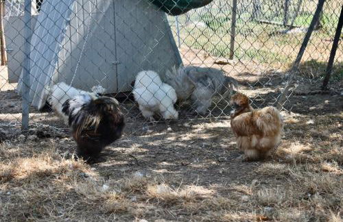 Il Borgo delle Pampare - Foto 73