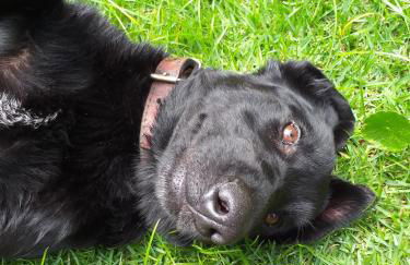 Casa Crudo, PRIVACIDADE NA MATA ATLÂNTICA, piscina, trilhas e descanso - Foto 25