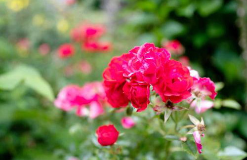 Untermetzgersbauernhof - Foto 21