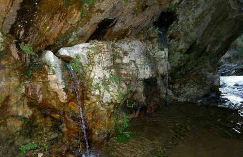 A Velha Casa - Foto 30