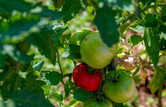 Apartment California - Foto 8