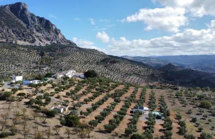 La Cordillera 2 - Foto 1