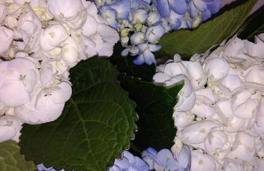 Casa dos Valentes - Foto 14