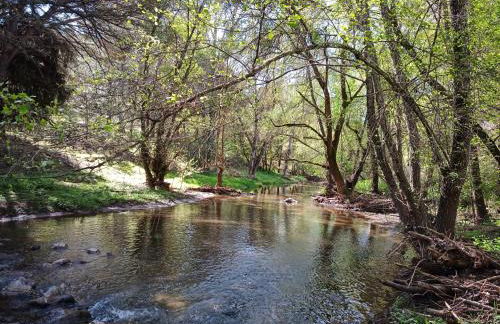Casa Monte Los Peñasquitos - Photo 32