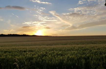 Ferienwohnung Wippertal Biesenrode - Foto 10