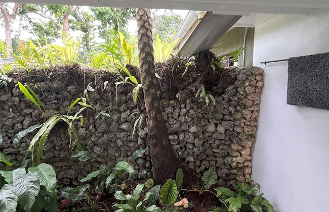 Eden on the River - Foto 32