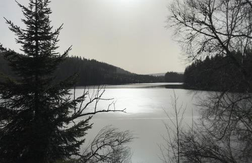 Ferienwohnung am Hirtenpfad - Foto 7