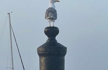 Patio da Foz - Appartement très accueillant centre-ville - Foto 72