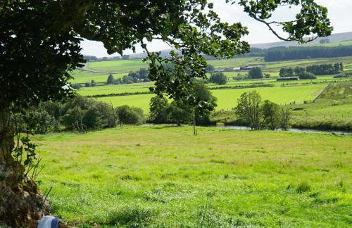 Elishaw Farm Holiday Cottages - Foto 64