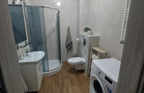 Apartament Centre - Foto 14