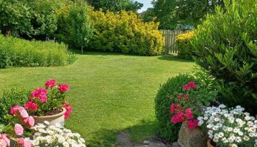 Greystones Lodge - Foto 2, Garden