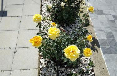 Casa dos Avós - Foto 33