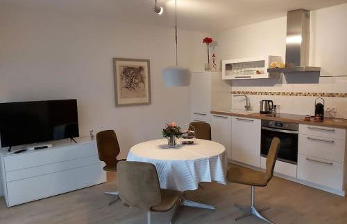 Wohnung Elisabeth - Parkblick - Am Buhl'schen Park 40 - zentrumsnah - Foto 5