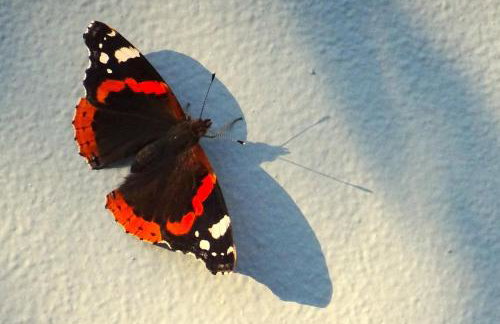 Vasiliki Residence - Foto 67