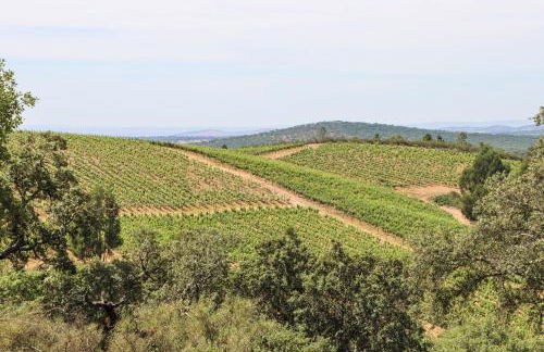 Casa do Outeiro - Foto 9