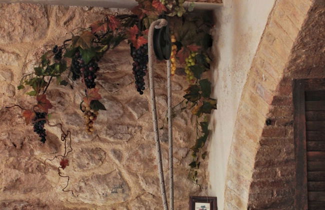 Collis Petri Relais - Photo 23