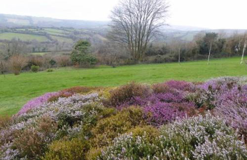 Walkers Retreat with garden and views - Photo 28