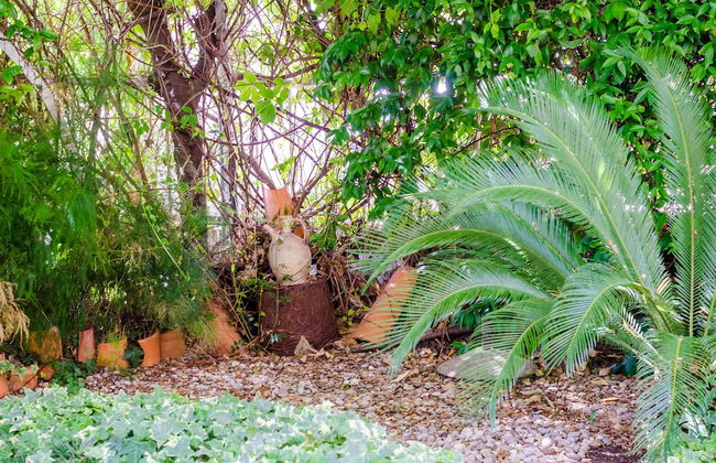 Apartment Kalea - Photo 31