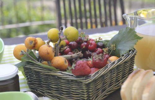 Holiday home in Pompeiana - Ligurische Riviera 22443 - Foto 7