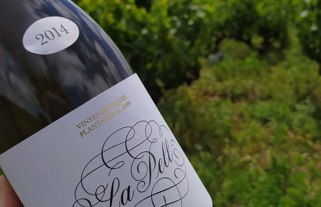 Tour in Algerri - Photo 6