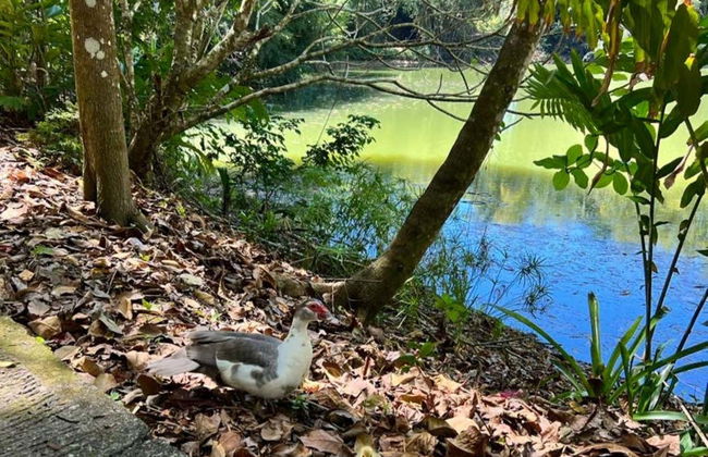 Puerto Plata & Taino Valley Tour - Photo 6