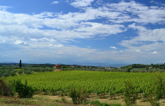 Scenic Escape in the Chianti - Photo 40